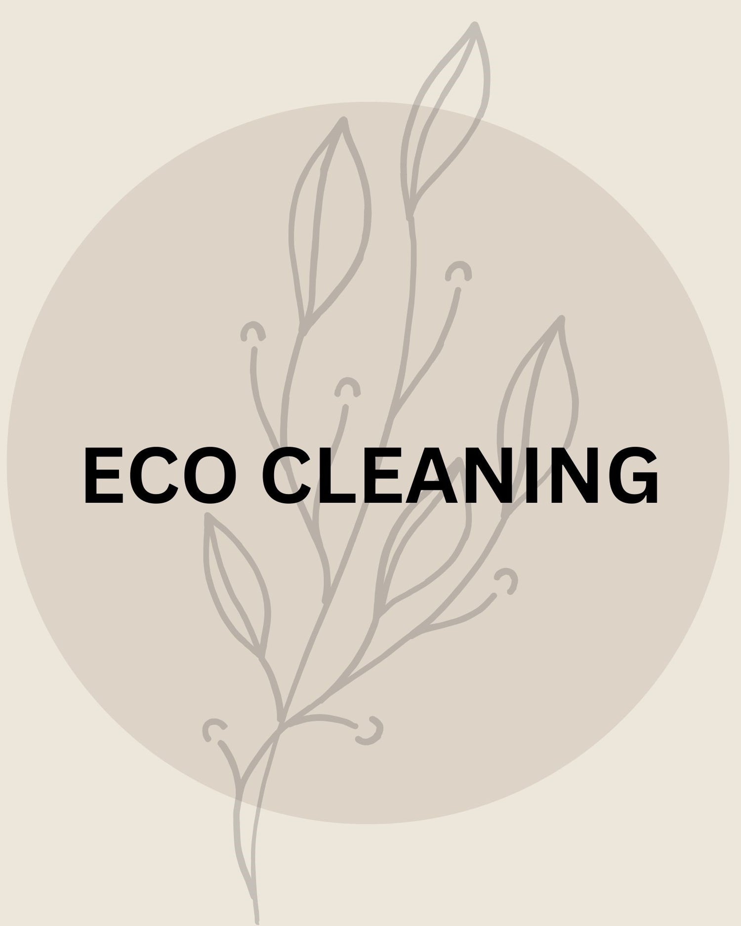 Eco Cleaning